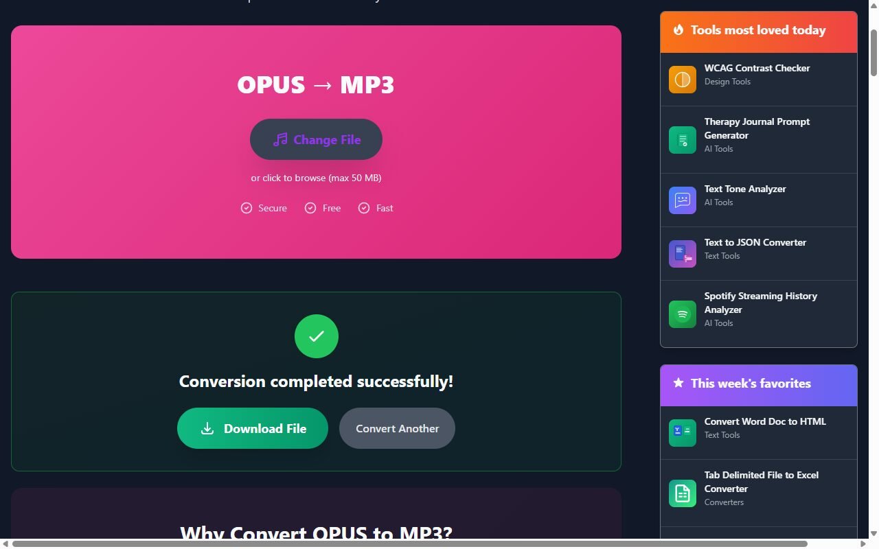 The same converter page after the job finished, showing a Conversion completed successfully message with Download File and Convert Another buttons.