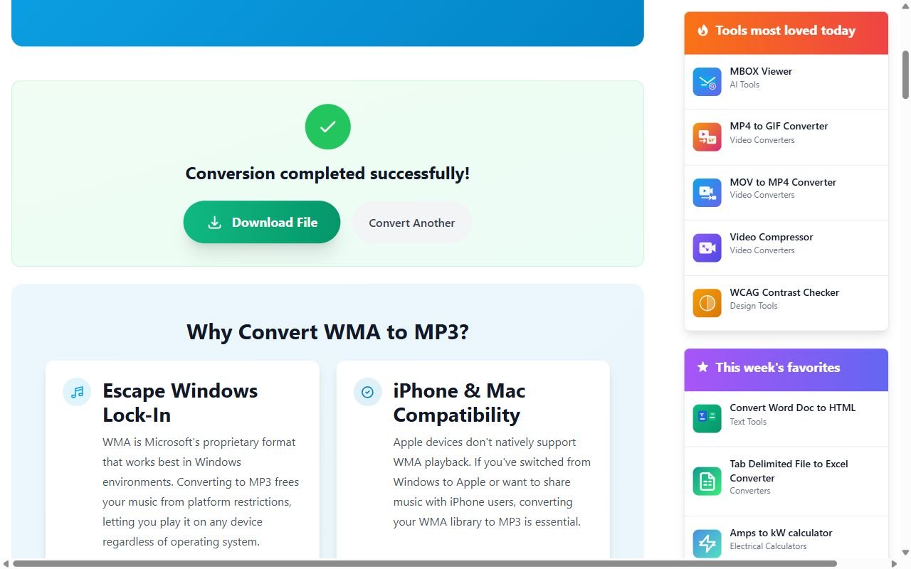 The converter showing Conversion completed successfully with a Download File button and a Convert Another button.